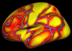 Yeo2011_JNeurophysiol_7networks_lateral_confidence.png