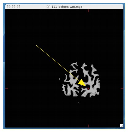 occlobe1.jpg