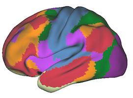 Yeo2011_JNeurophysiol_7networks_lateral.png