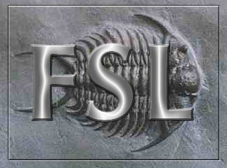 FSL Logo